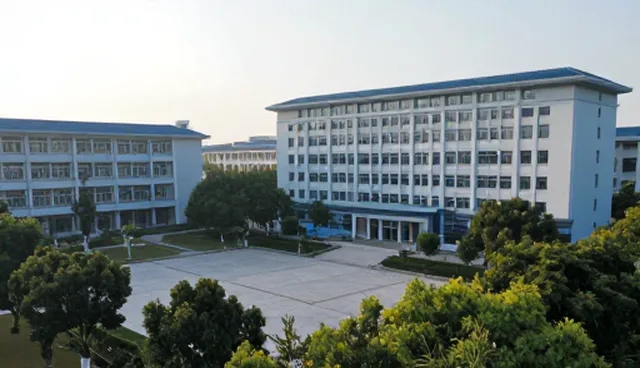 技术咨询中需求沟通的关键作用与建议